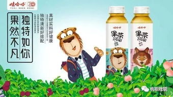 娃哈哈品牌年轻化与市场渗透——营销策划与广告创意大赛方案