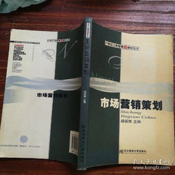 市场营销策划 从策略蓝图到执行落地的全流程指南